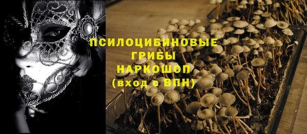 хмурый Куйбышев